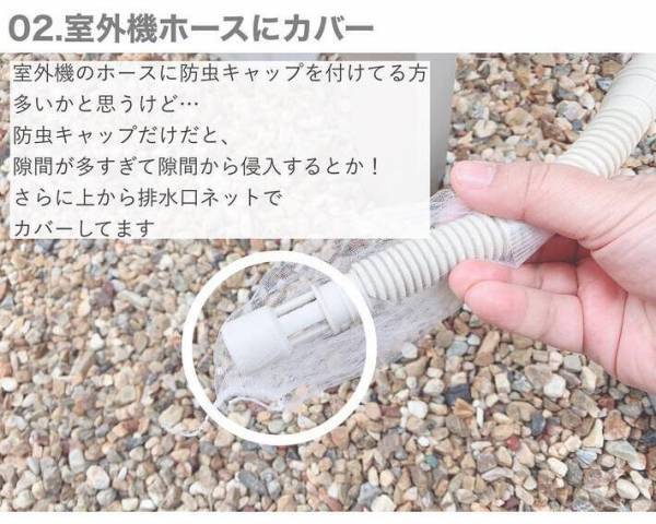 虫が出ない家がやっている７つのこと　侵入経路を徹底的になくすには？