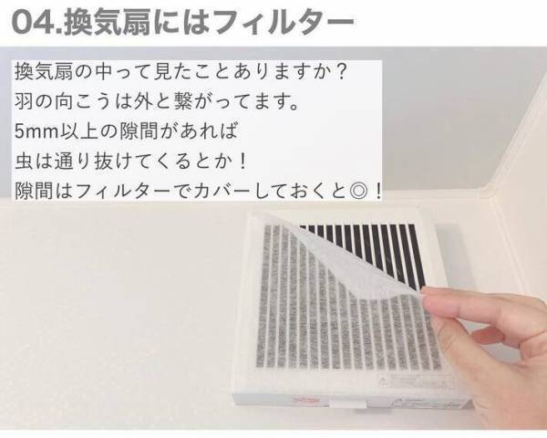 虫が出ない家がやっている７つのこと　侵入経路を徹底的になくすには？