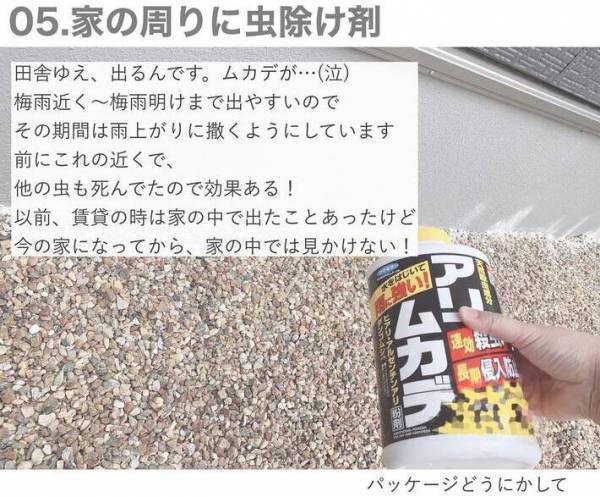 虫が出ない家がやっている７つのこと　侵入経路を徹底的になくすには？