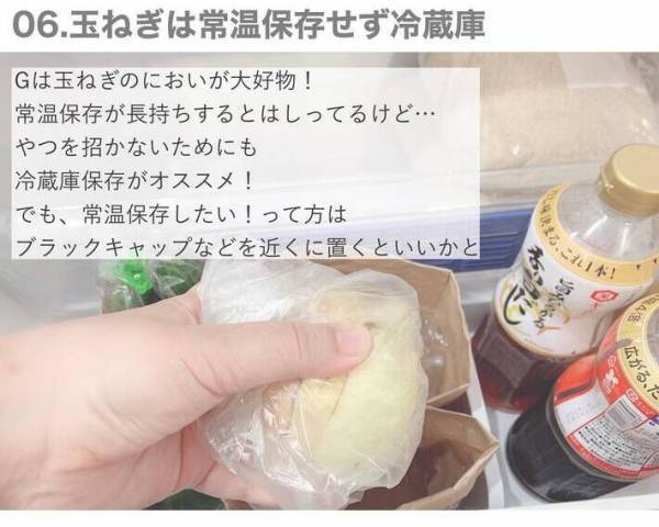 虫が出ない家がやっている７つのこと　侵入経路を徹底的になくすには？