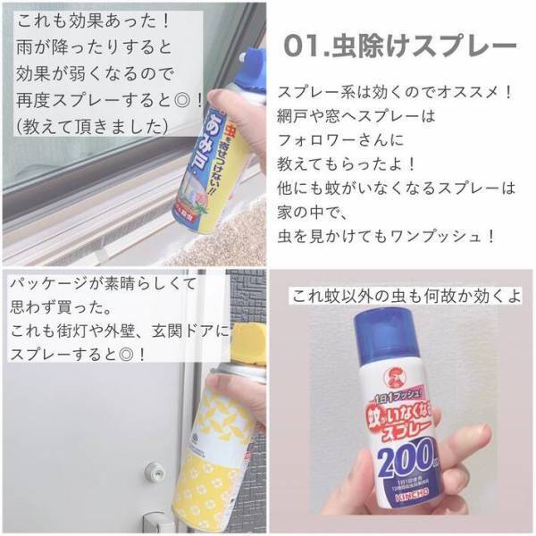 虫が出ない家がやっている７つのこと　侵入経路を徹底的になくすには？