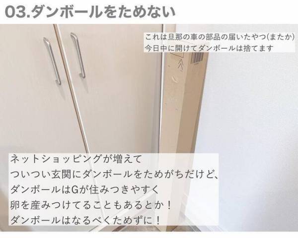 虫が出ない家がやっている７つのこと　侵入経路を徹底的になくすには？