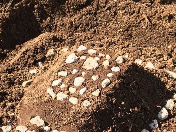 １１歳「埋葬してくる」　ペットが亡くなった後、庭に作った『お墓』が「国宝級」と話題