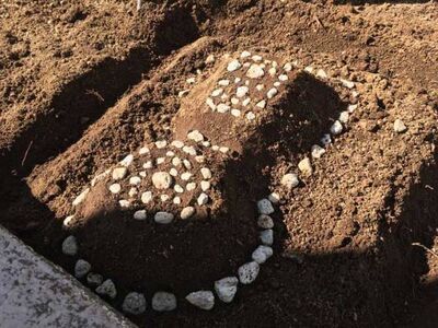 １１歳「埋葬してくる」　ペットが亡くなった後、庭に作った『お墓』が「国宝級」と話題