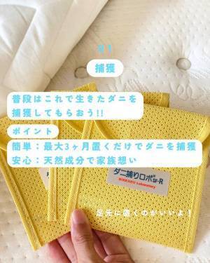 梅雨に急増するダニ　『対策方法』に「助かる！」「今のうちにやる」