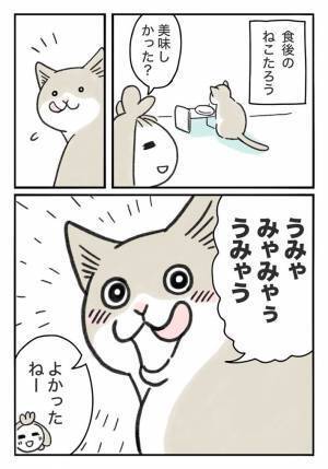 猫の反応に驚きで目を疑う　飼い主が話しかけたところ？　「すごい」「賢い！」