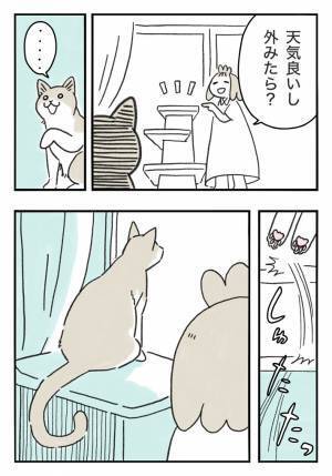 猫の反応に驚きで目を疑う　飼い主が話しかけたところ？　「すごい」「賢い！」