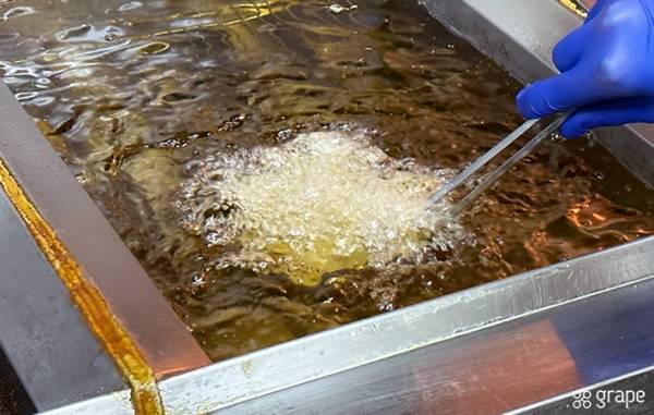 もう食べた？パクチー好き必見のバーガーが話題！