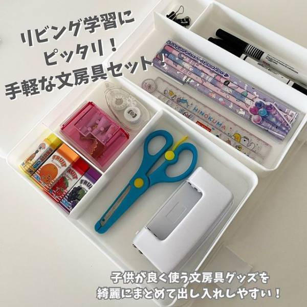 １００均グッズを組み合わせると？　便利な収納法に「こんな使い方が！」「メモしようっと」