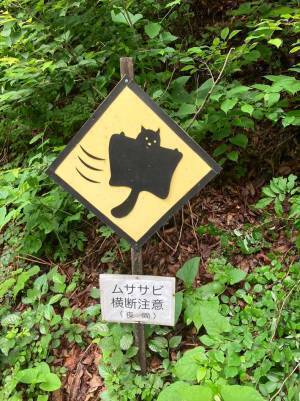世界的にも珍しい『動物注意』の標識が話題に　「実際遭遇したら驚く」