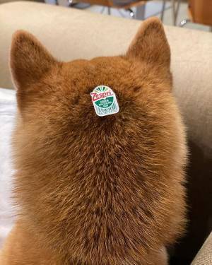 「かわいすぎて食べれない」「モフモフしてる」　果物のステッカーが貼ってあったのは…？