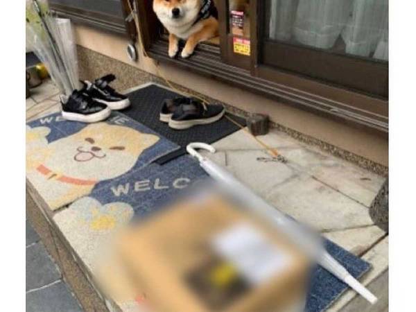 置き配の『配達完了写真』に写っていたのは？　「家族みんなで笑った」