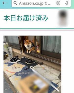 置き配の『配達完了写真』に写っていたのは？　「家族みんなで笑った」