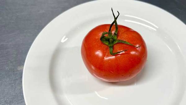 揚げ物をさっぱりとした味わいにするなら？　現役シェフ考案の『特製ソース』がおいしそう