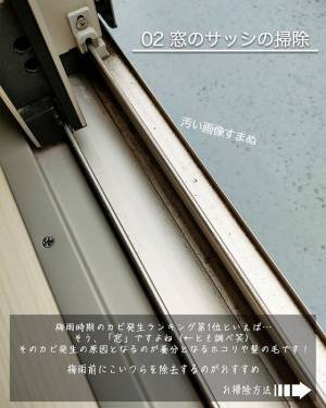 クローゼットも要注意　意外と知らない梅雨のカビ対策