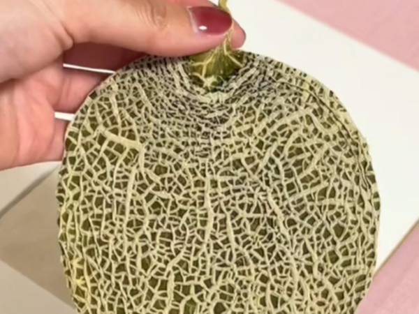 「初めて見た！」「食べられるの？」　変わり果てたフルーツの姿がこちら！