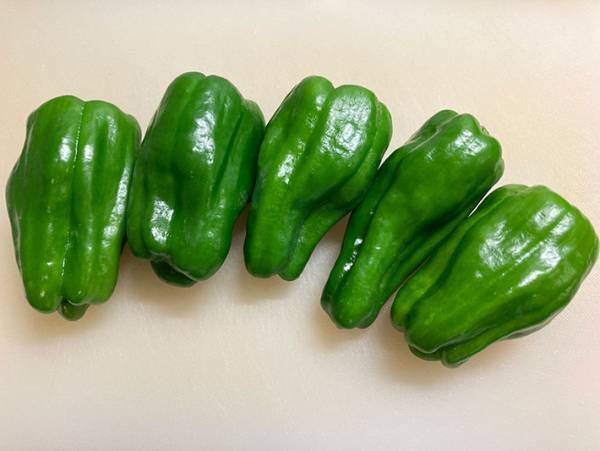 「今日のもう一品が決まった」　ツヤツヤの見た目がたまらない、ピーマンの焼きびたし