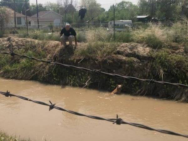 警察官「今、助けるぞ！」　水路の土手に必死でしがみついていたのは…？