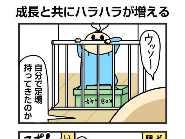 足場を作って柵を越えようとした１歳児　その後の行動に、母親「ヒエーッ」