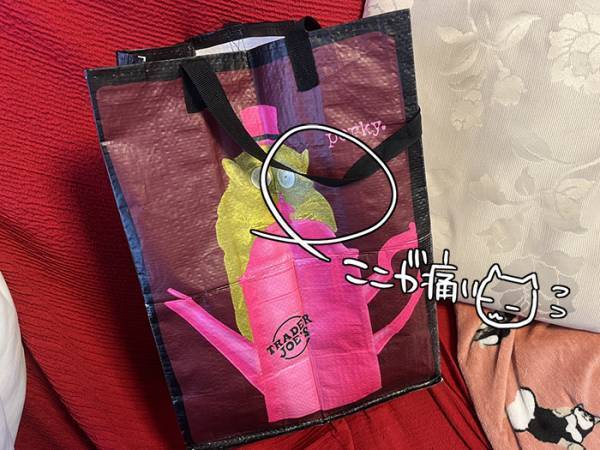 肩からずり落ちてくるエコバッグ　１００均に『お役立ちアイテム』があった！