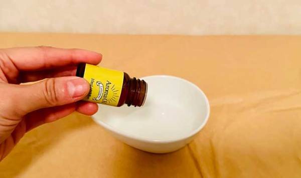 夏場にぶんぶん飛び回るコバエ　さわやかに撃退する方法に「効果てきめん」「全滅したかも」