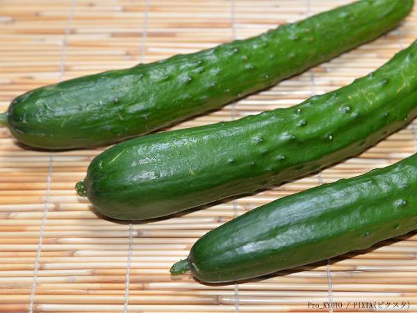 キュウリの使い道に迷ったらコレ！　食べる手が止まらない簡単カッパ巻き