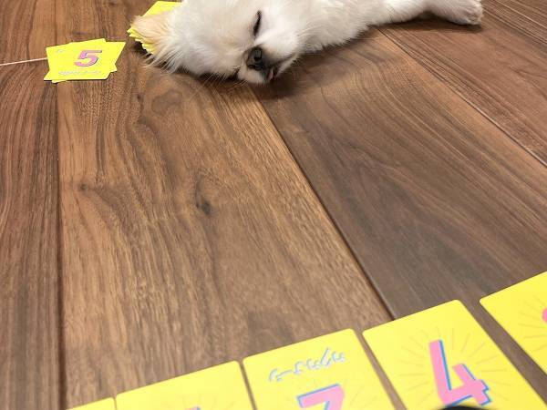 ゲーム中に侵入者が！？　一同が騒然としたその正体とは…