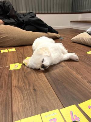 ゲーム中に侵入者が！？　一同が騒然としたその正体とは…