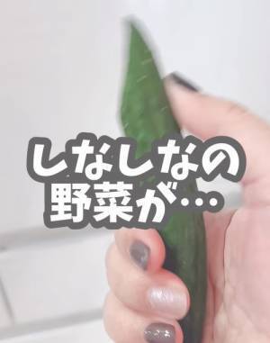 しなびたキュウリがシャキシャキに復活　意外な方法に「ぞくぞくした」「これすごい」