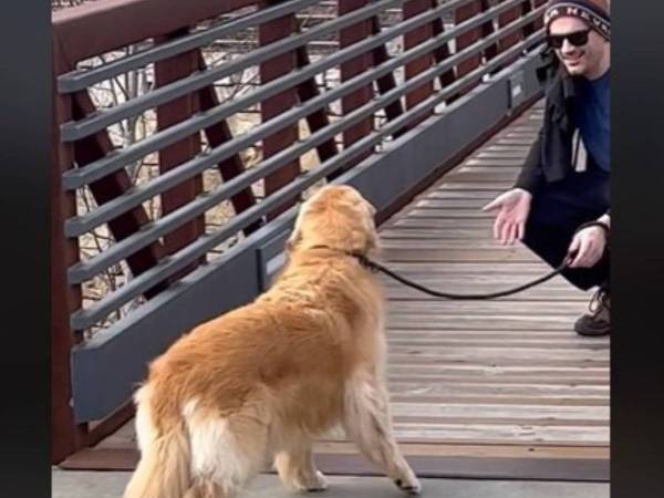 橋が怖くて渡れない犬　飼い主を信じて勇気を出した『瞬間』に「感動して泣いた」