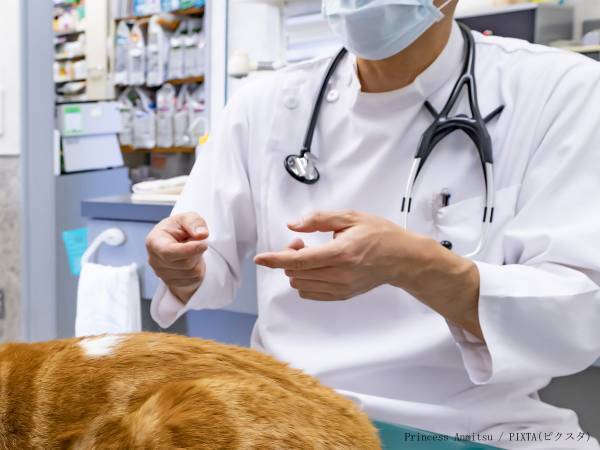 先生たちの話し声が筒抜け！　動物病院の『対応』に「大笑いしちゃった」「動物に神対応」