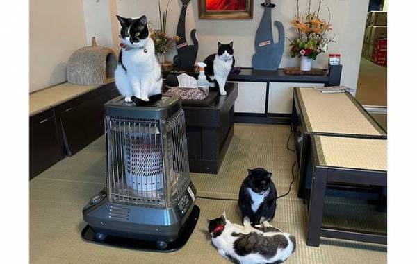 草津の町にたたずむ旅館　全国から客足が途絶えない『理由』とは？