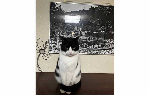 草津の町にたたずむ旅館　全国から客足が途絶えない『理由』とは？