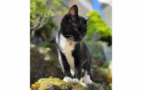 草津の町にたたずむ旅館　全国から客足が途絶えない『理由』とは？