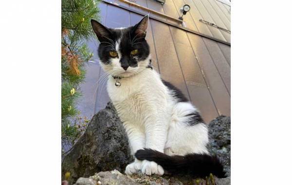 草津の町にたたずむ旅館　全国から客足が途絶えない『理由』とは？