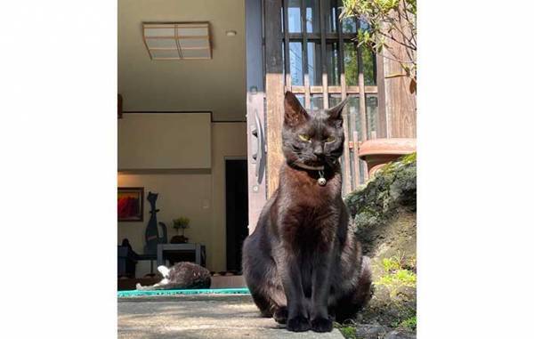 草津の町にたたずむ旅館　全国から客足が途絶えない『理由』とは？