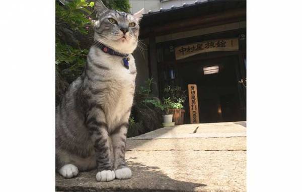 草津の町にたたずむ旅館　全国から客足が途絶えない『理由』とは？