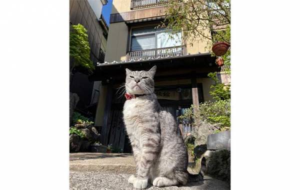 草津の町にたたずむ旅館　全国から客足が途絶えない『理由』とは？