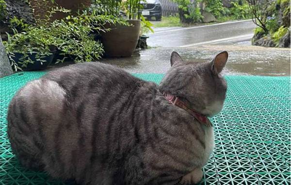 草津の町にたたずむ旅館　全国から客足が途絶えない『理由』とは？