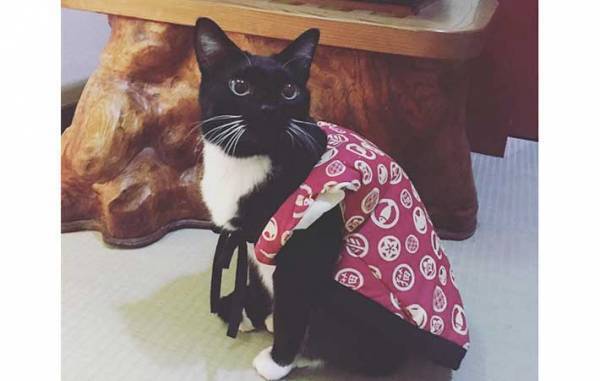 草津の町にたたずむ旅館　全国から客足が途絶えない『理由』とは？