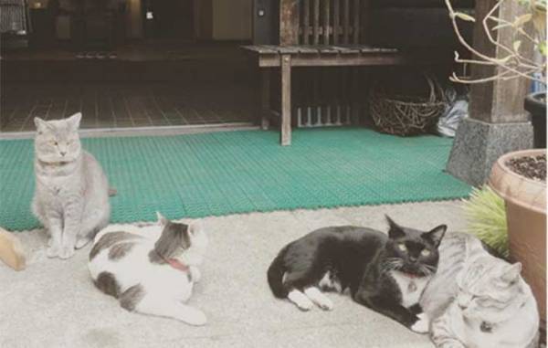 草津の町にたたずむ旅館　全国から客足が途絶えない『理由』とは？