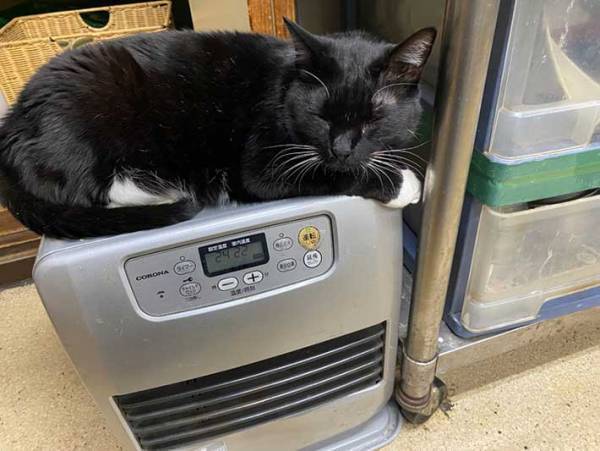 草津の町にたたずむ旅館　全国から客足が途絶えない『理由』とは？