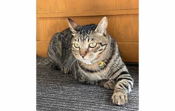 草津の町にたたずむ旅館　全国から客足が途絶えない『理由』とは？