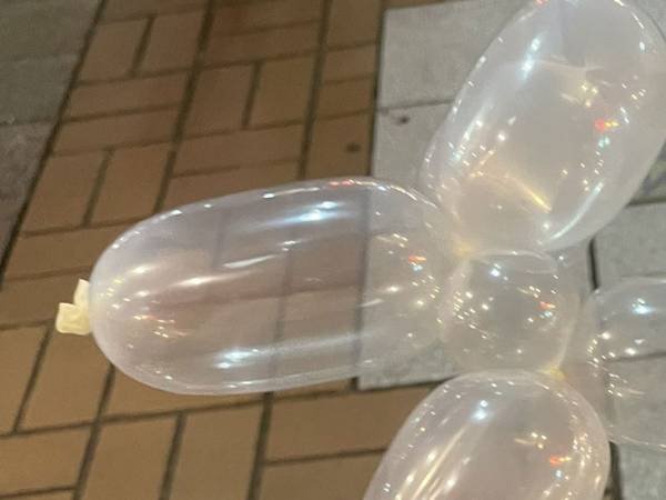 ピエロから貰った『バルーンアート』の形に「実在したのですね！」「自分は作れなかった」と反響