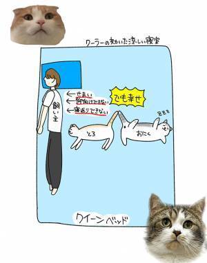 クイーンベッドで眠る飼い主のイラストに共感の声が続出　「毎晩これ」「幸せだからOK」