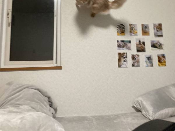 「トリックアートみたい」「楽しそう」　壁を写した写真に、人々がギョッとした理由が？