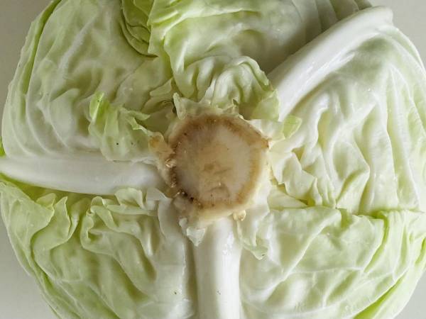 余らせがちな食材　味の素が教える使い切りレシピに「ご飯泥棒」「作ってみたい」