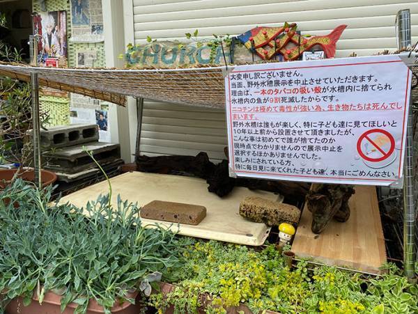 水族館「許せない」　『タバコのポイ捨て』被害で水槽の魚９割が亡くなり、悲しみの注意喚起