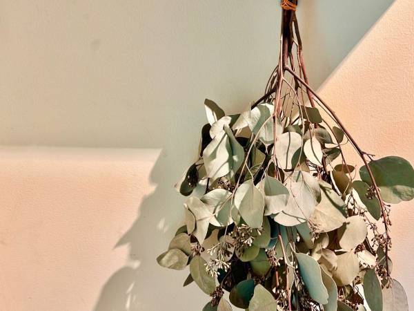 壁に穴を開けない１００均マグネット　驚きのつけ方に「すごい！」「ビックリした」