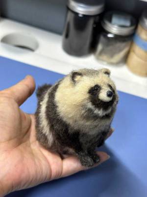 『かわいさの塊』が、手のひらサイズで登場！　「めっちゃ欲しい」「完璧だ…」